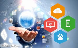 品牌介紹 龍采網(wǎng)站建設 龍采軟件開發(fā)