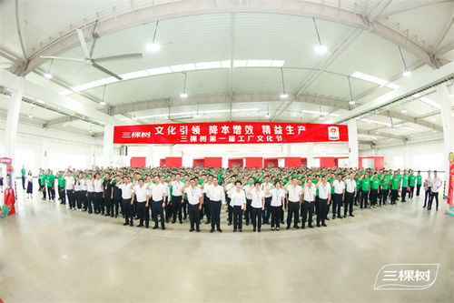 凝心聚力共筑文化生產(chǎn)力 | 三棵樹第一屆工廠文化節(jié)啟動(dòng)儀式圓滿舉行