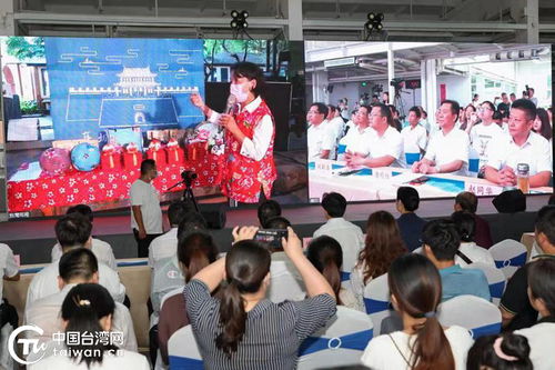 鄂臺(tái)兩地共話傳統(tǒng)布藝，云上交流助力文化傳承
